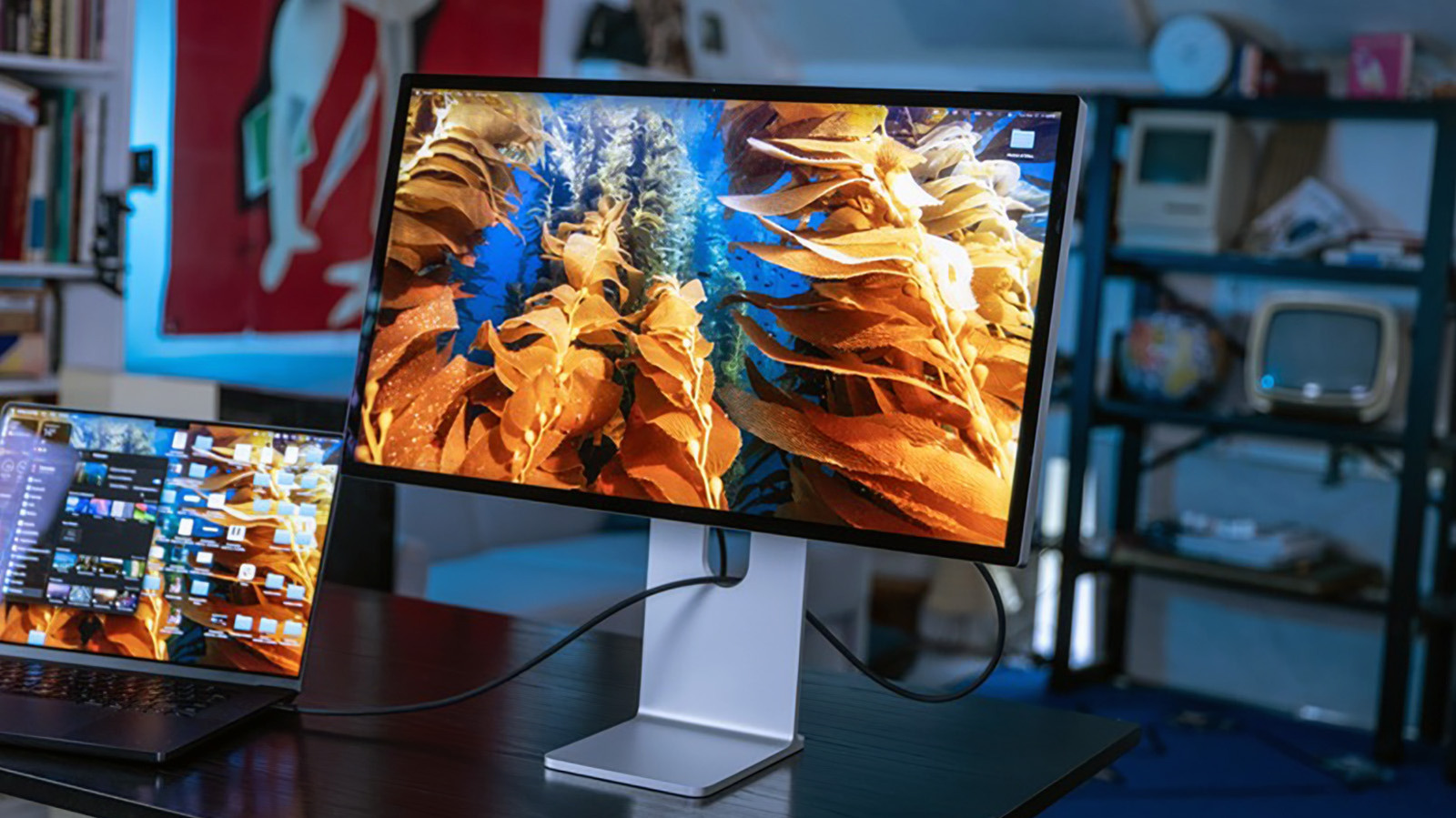MacBook ile Çoklu Monitör Kullanımı: Bilmeniz Gereken Teknik Sınırlar