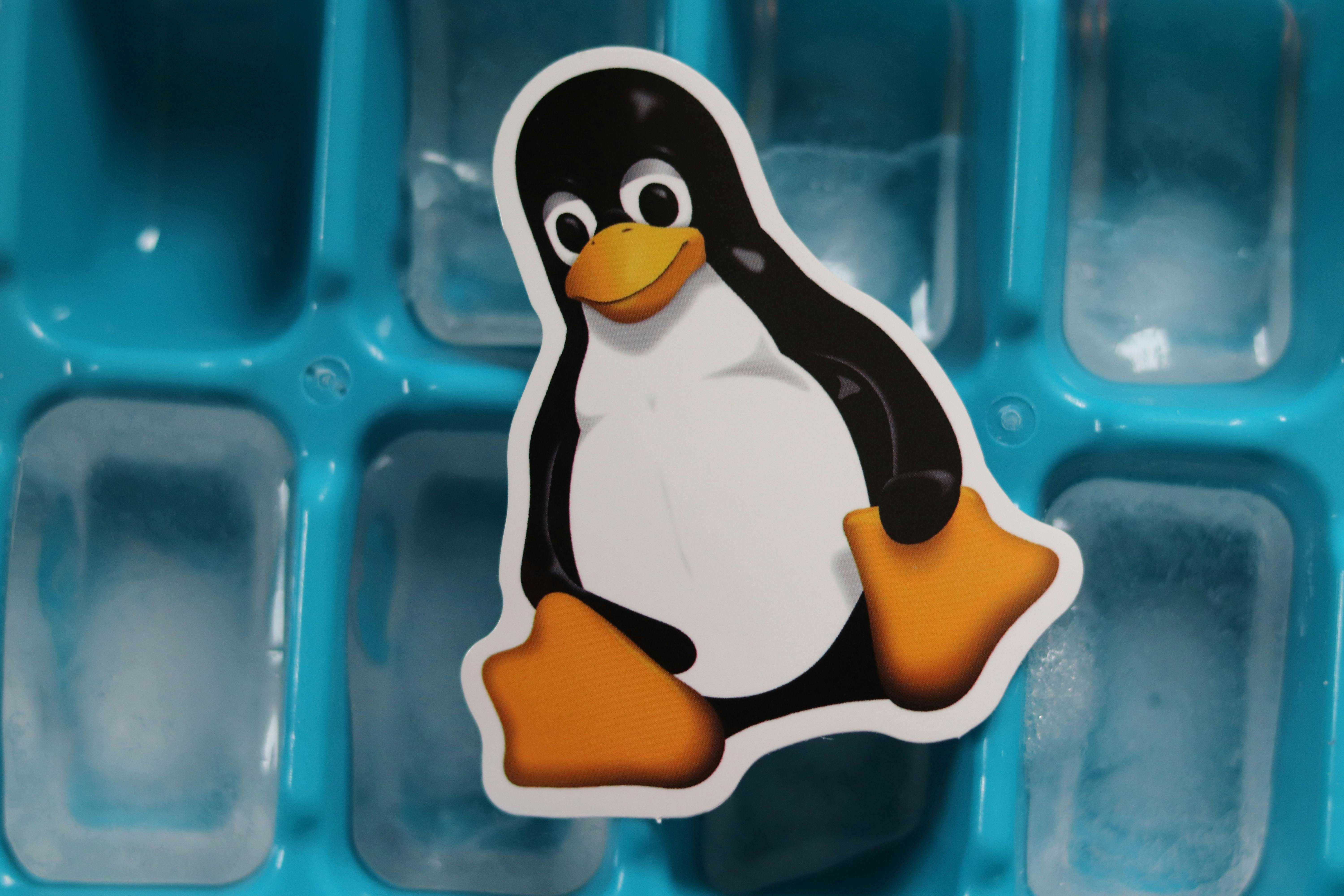 Linux İçin Büyük Yükseliş: 2026 Nihayet Beklenen Yıl mı?