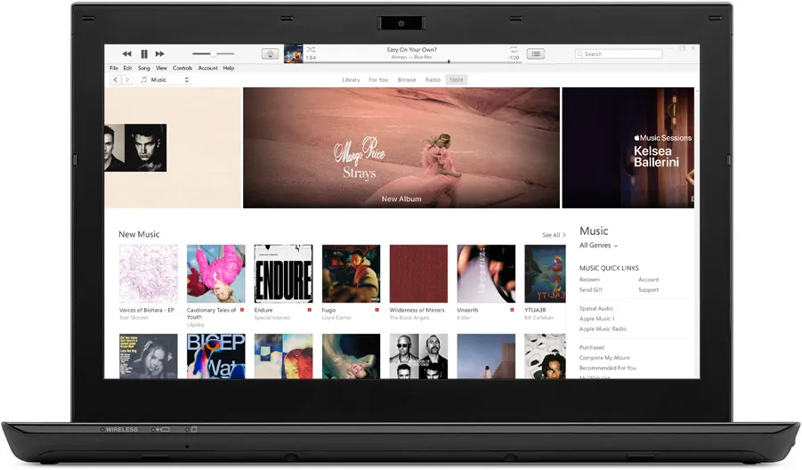 iTunes Programı Ekran Görüntüsü
